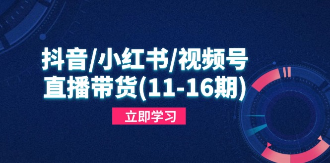 抖音/小红书/视频号/直播带货(11-16期-搞钱利器