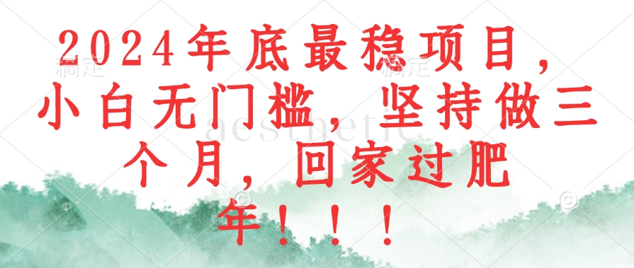 2024年底最稳项目，小白无门槛，坚持做三个月，回家过肥年！！！-搞钱利器