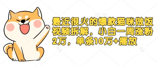 最近很火的爆款猫咪做饭视频拆解，小白一周涨粉2万，单条10万+播放(附保姆级教程)-搞钱利器