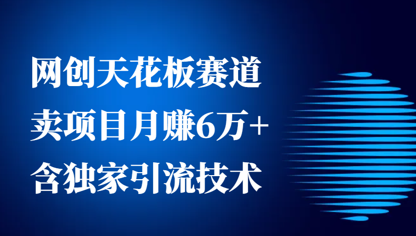 网创天花板赛道，卖项目月赚6万+，含独家引流技术(共26节课)-搞钱利器