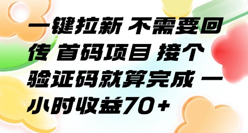 一键拉新 不需要回传 首码项目 接个验证码就算完成 一小时收益70+【揭秘】-搞钱利器