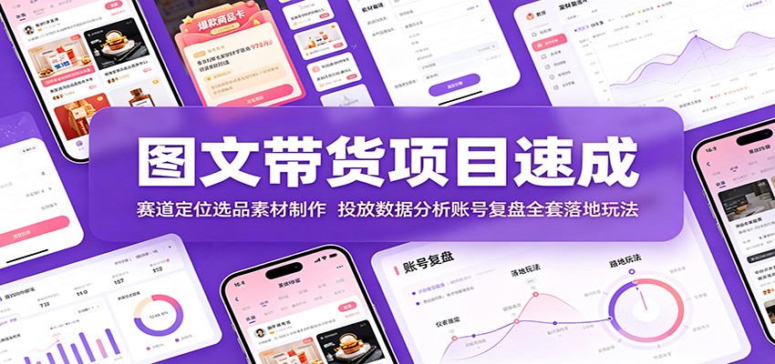 图文带货项目速成：赛道定位选品素材制作，投放数据分析账号复盘全套落地玩法-搞钱利器