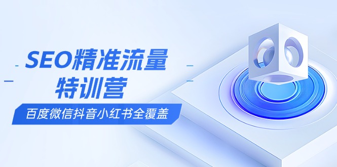 SEO精准流量特训营，百度微信抖音小红书全覆盖，带你搞懂搜索优化核心技巧-搞钱利器