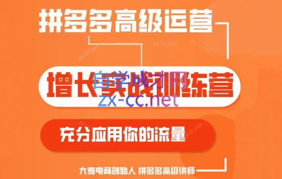 大麦老师·拼多多单品爆款打造课程(更新6月)-搞钱利器