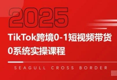 大亿老师·TikTok跨境0-1短视频带货-搞钱利器