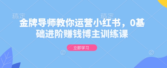 金牌导师教你运营小红书，0基础进阶赚钱博主训练课-搞钱利器