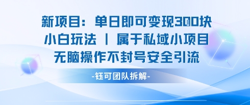 新项目单日即可变现3张的小白玩法无脑操作不封号安全引流-搞钱利器