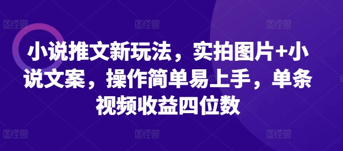 小说推文新玩法，实拍图片+小说文案，操作简单易上手，单条视频收益四位数-搞钱利器