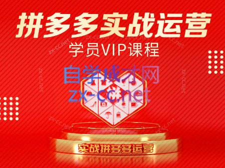 推易电商·拼多多实战运营课(更新2025月)-搞钱利器