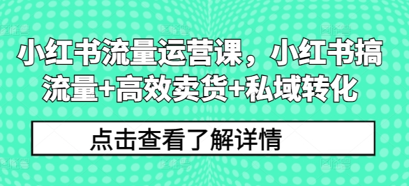 小红书流量运营课，小红书搞流量+高效卖货+私域转化-搞钱利器