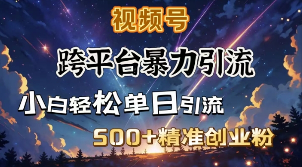 跨平台暴力引流，私域完美闭环，日引500+精准创业粉-搞钱利器