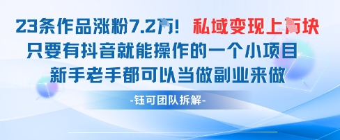 抖音私域项目23条作品涨粉7.2W，私域变现1W-搞钱利器