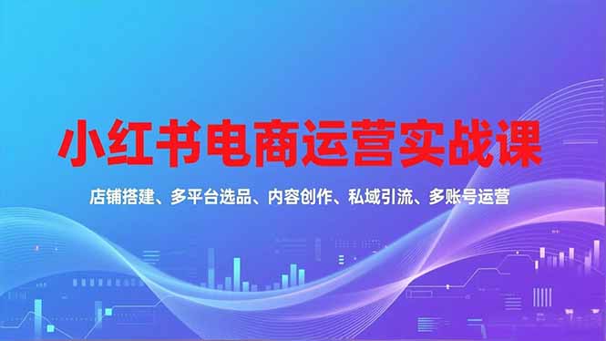 小红书电商运营实战课，店铺搭建、多平台选品、内容创作、私域引流、多账号运营等玩法-搞钱利器