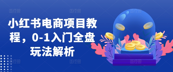 小红书电商项目教程，0-1入门全盘玩法解析-搞钱利器