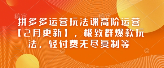 拼多多运营玩法课高阶运营【2月更新】，极致群爆款玩法，轻付费无尽复制等-搞钱利器