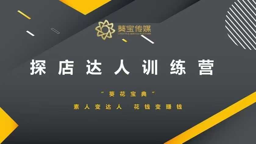 探店达人训练营，素人变达人，花钱变赚钱-搞钱利器