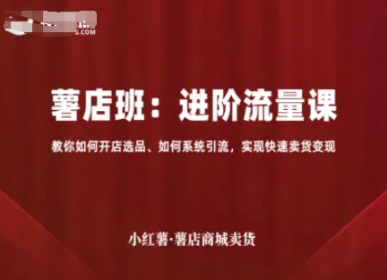 小红薯薯店商城卖货，进阶流量课，教你如何开店选品、如何系统引流，实现快速卖货变现-搞钱利器