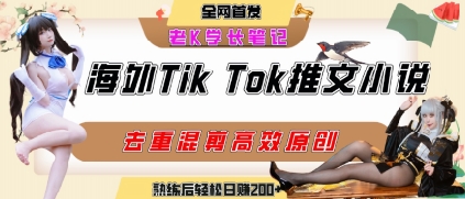 海外tiktok小说推文暴力项目，高停留率，高转化率，上手后一天搞顿饭钱不是问题-搞钱利器