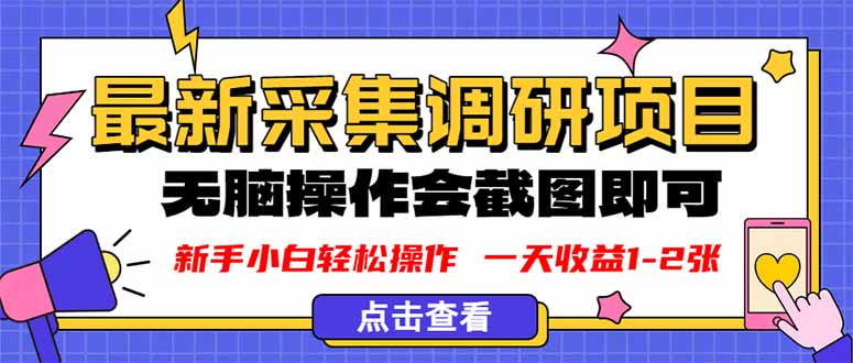 新版采集调研项目，截图上传即可，无脑操作，日收益1-2张-搞钱利器