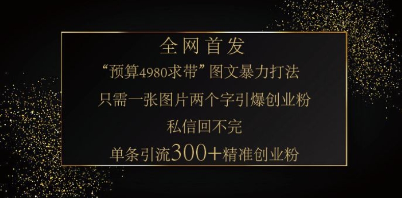 小红书神奇图片引流法，只需一张图，就能单条笔记凭借此方法，轻松引流 300 + 精准创业粉-搞钱利器
