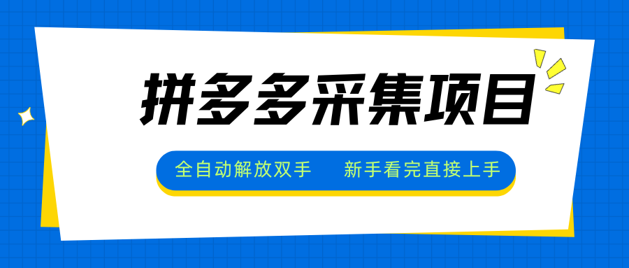 拼多多采集项目，全自动解放双手，单号日入30+-搞钱利器