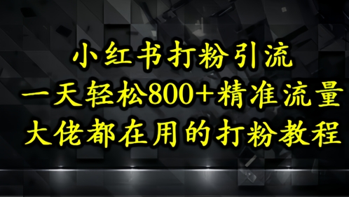 小红书打粉引流，一天轻松500+精准流量，大佬都在用的打粉教程-搞钱利器