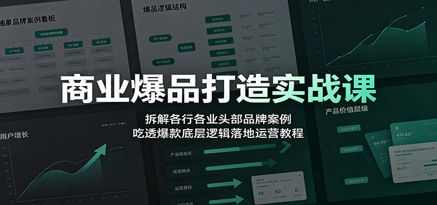 商业爆品打造实战课：拆解各行各业头部品牌案例，吃透爆款底层逻辑落地运营教程-搞钱利器
