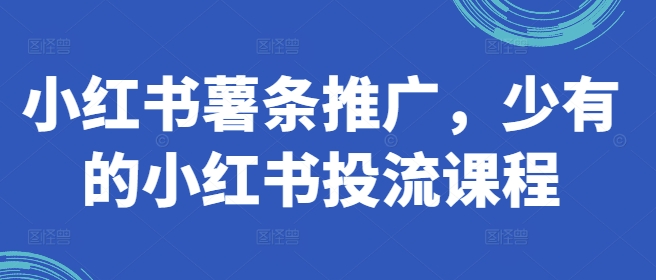 小红书薯条推广，少有的小红书投流课程-搞钱利器