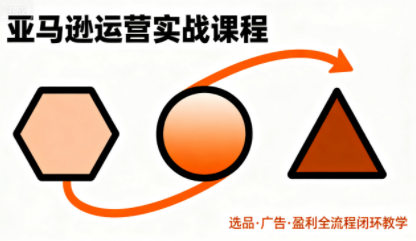 毕方电商·亚马逊全站会员课程(更新3月)-搞钱利器