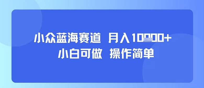 小众蓝海赛道，小白可做，操作简单，每天30分钟，月入1W+-搞钱利器
