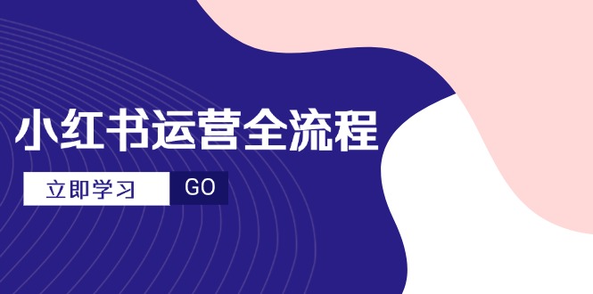 小红书运营全流程，爆款选题文案，视频制作技巧，进阶达人宝典-搞钱利器