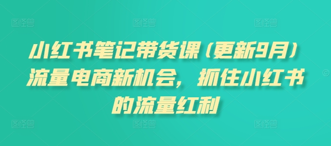 小红书笔记带货课(更新25年5月)流量电商新机会，抓住小红书的流量红利-搞钱利器