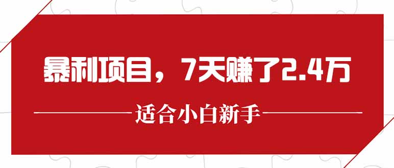 最新暴利项目，每单收益轻松在300以上，7天赚了2.4万-搞钱利器