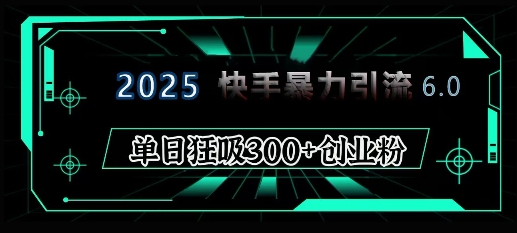 2025年快手6.0保姆级教程震撼来袭，单日狂吸300+精准创业粉-搞钱利器