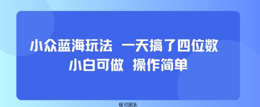 小众蓝海玩法 一天搞了四位数 小白可做 操作简单-搞钱利器