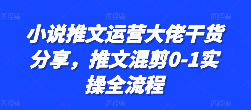 小说推文运营大佬干货分享，推文混剪0-1实操全流程-搞钱利器