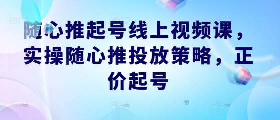随心推起号线上视频课，实操随心推投放策略，正价起号-搞钱利器