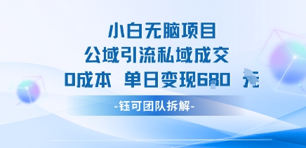 小白无脑项目公域引流私域成交0成本单日变现680米-搞钱利器