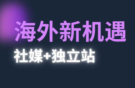 棕榈·2025出海新机遇(社媒+独立站)-搞钱利器