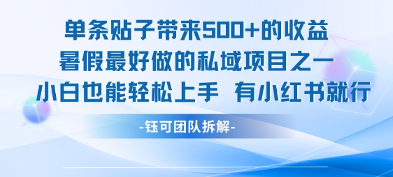 单条贴子带来5张的收益，暑假最好做的私域项目之一，小白也能轻松上手，有小红书就行-搞钱利器
