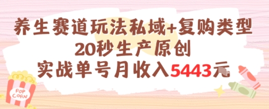养生赛道玩法私域+复购类型，20秒生产原创实战单号月收入5k+-搞钱利器