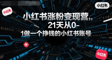 小红书涨粉变现营，21天从0-1做一个挣钱的小红书账号-搞钱利器