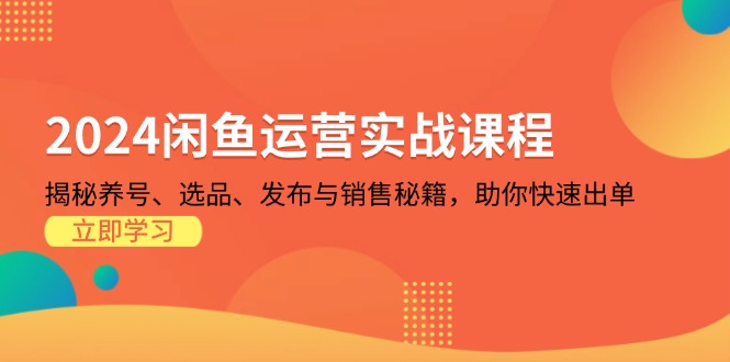2024闲鱼运营实战课程：揭秘养号、选品、发布与销售秘籍，助你快速出单-搞钱利器