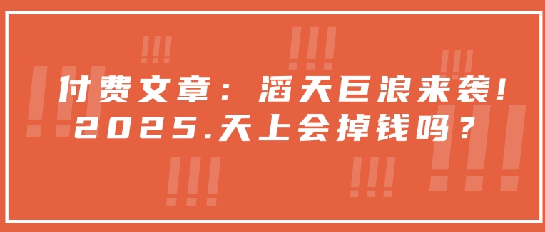 付费文章：滔天巨浪来袭！2025天上会掉钱吗？-搞钱利器