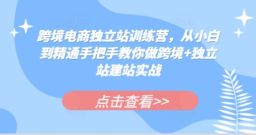 跨境电商独立站训练营，从小白到精通手把手教你做跨境+独立站建站实战-搞钱利器