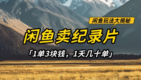 闲鱼卖纪录片1单3块钱，1天几十单，项目稳定有潜力-搞钱利器