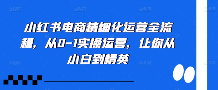 小红书电商精细化运营全流程，从0-1实操运营，让你从小白到精英-搞钱利器