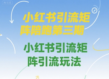 小红书引流矩阵陪跑第三期，小红书引流矩阵引流玩法-搞钱利器