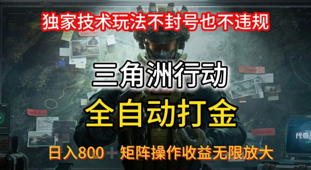 三角洲板砖揭秘项目免费送卡密-搞钱利器