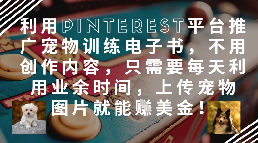 利用Pinterest平台推广宠物训练电子书，不用创作内容，只需要每天利用业余时间，上传宠物图片就能挣美金!-搞钱利器